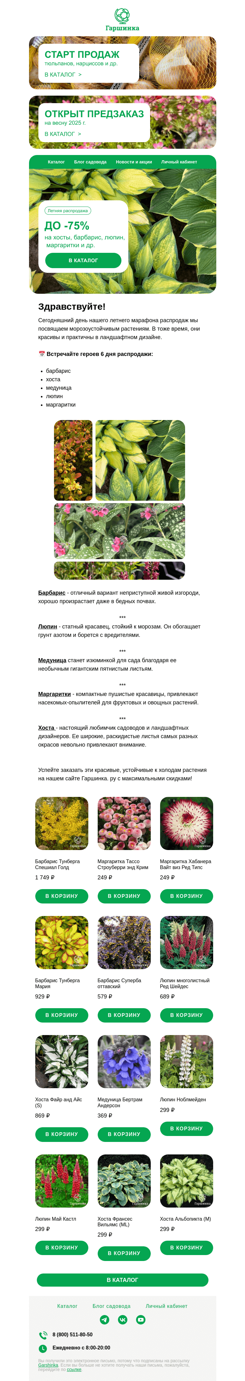 Письмо компании «Гаршинка.ру» на тему «🕚Только один день! До -75% на хосты, барбарисы, люпин и др.»