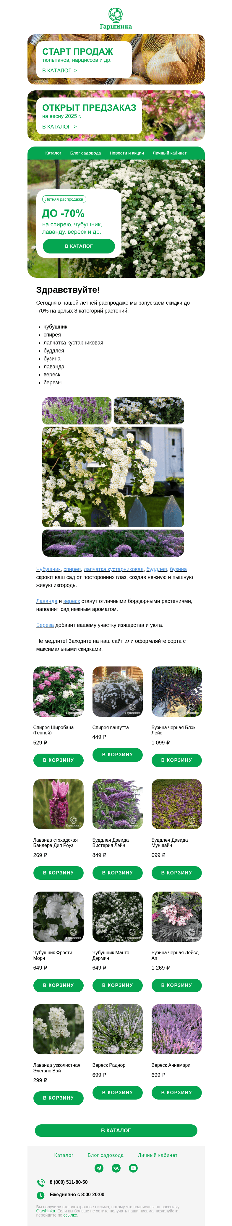 Письмо компании «Гаршинка.ру» на тему «🌿 Только сегодня! До -70% на спирею, чубушник, лаванду, вереск и др.!»