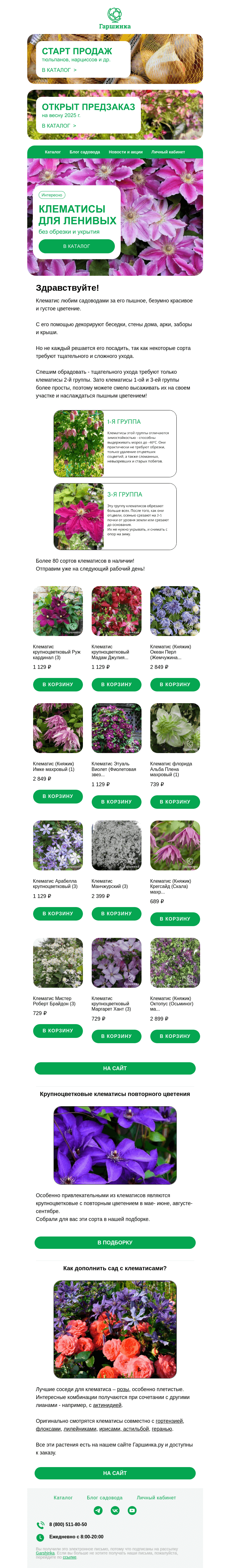 Письмо компании «Гаршинка.ру» на тему «🌺 Клематисы для ленивых: Не укрывать! Не обрезать!»