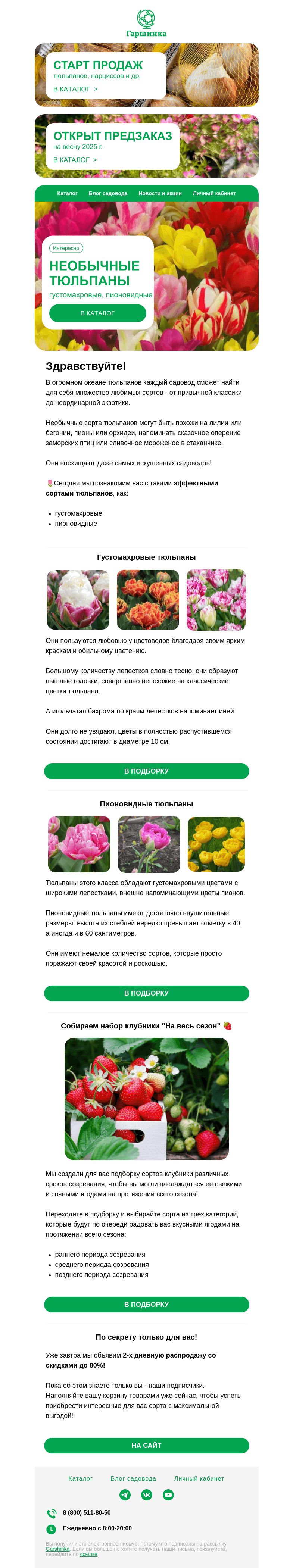 Письмо компании «Гаршинка.ру» на тему «😍Они перевернули рынок тюльпанов!»