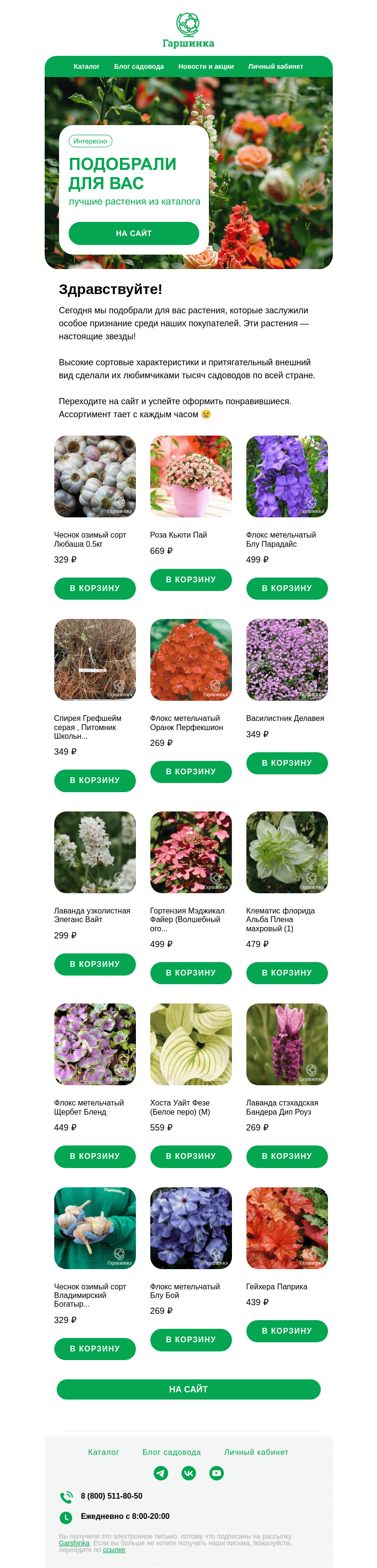 Письмо компании «Гаршинка.ру» на тему «🌺 Подобрали специально для вас лучшие растения из каталога!»