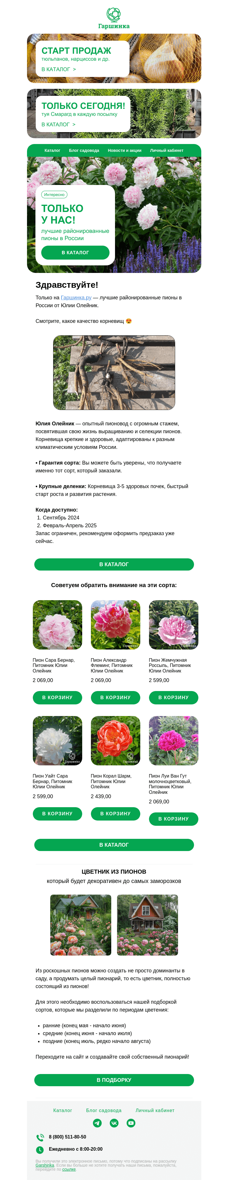 Письмо компании «Гаршинка.ру» на тему «😮 Эксклюзив! Смотрите, какое качество корневищ!»