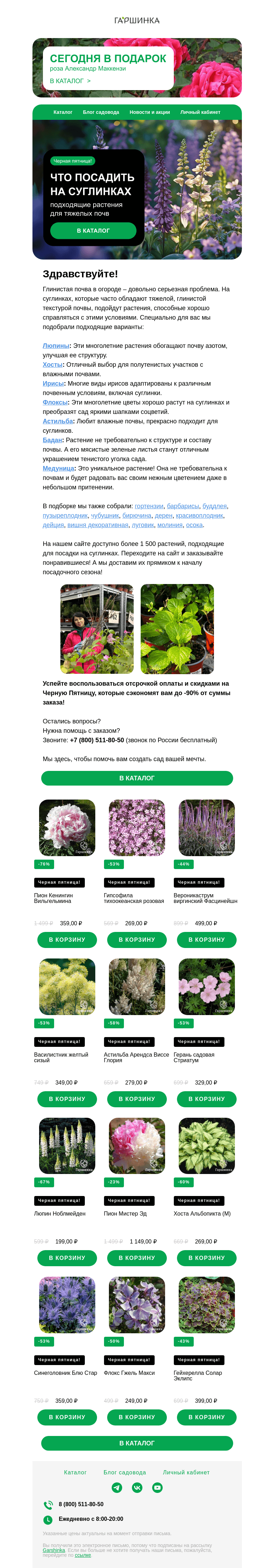 Письмо компании «Гаршинка.ру» на тему «🌿 Что посадить на суглинках? Подобрали для вас подходящие растения!»