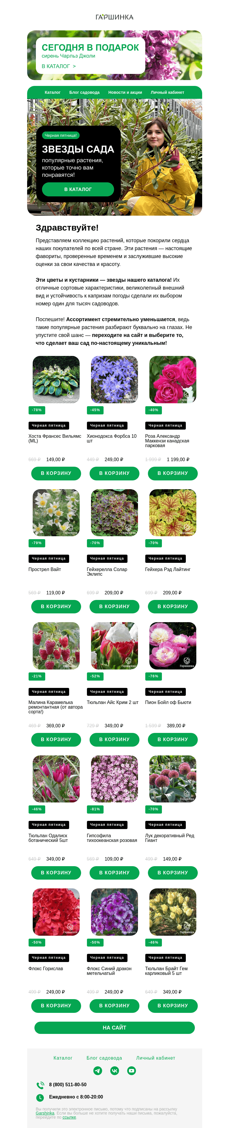 Письмо компании «Гаршинка.ру» на тему «🌺 Подобрали специально для вас лучшие растения из каталога!»