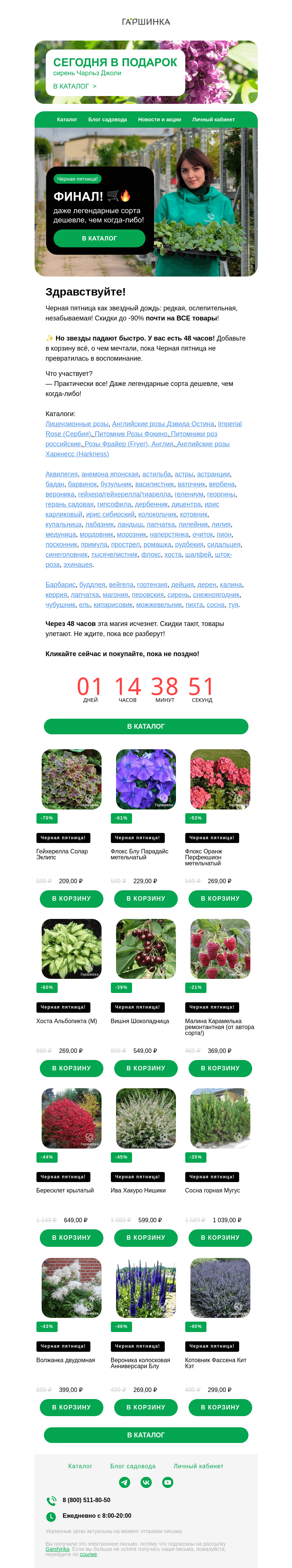 Письмо компании «Гаршинка.ру» на тему «🛒🔥 Черная пятница! Финал!»