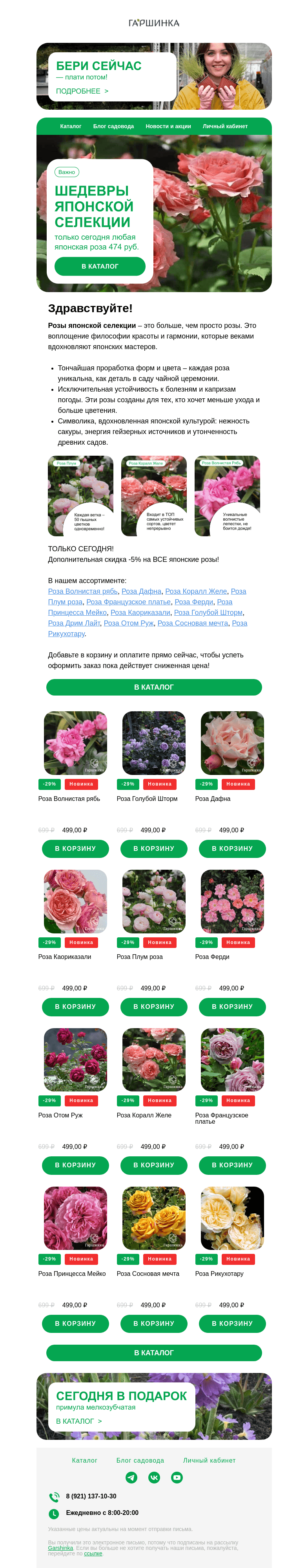 Письмо компании «Гаршинка.ру» на тему «🌸✨ Шедевры японской селекции: новое поступление роз на весну-2025»