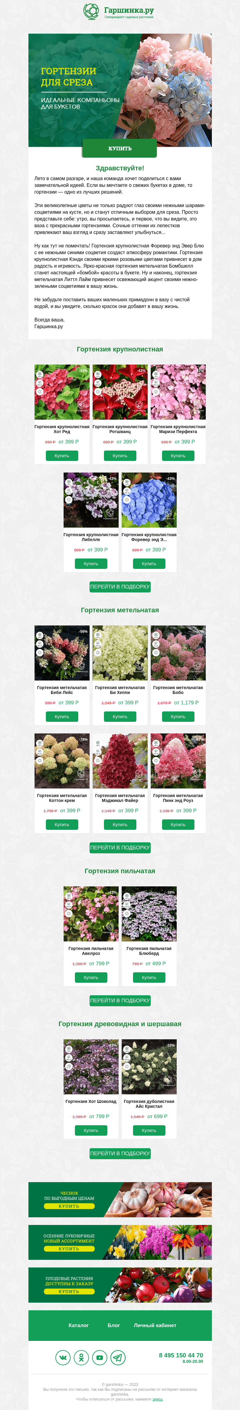 Письмо компании «Гаршинка.ру» на тему «🏆Гортензии — наш фаворит на звание «Срез года» 🏆»