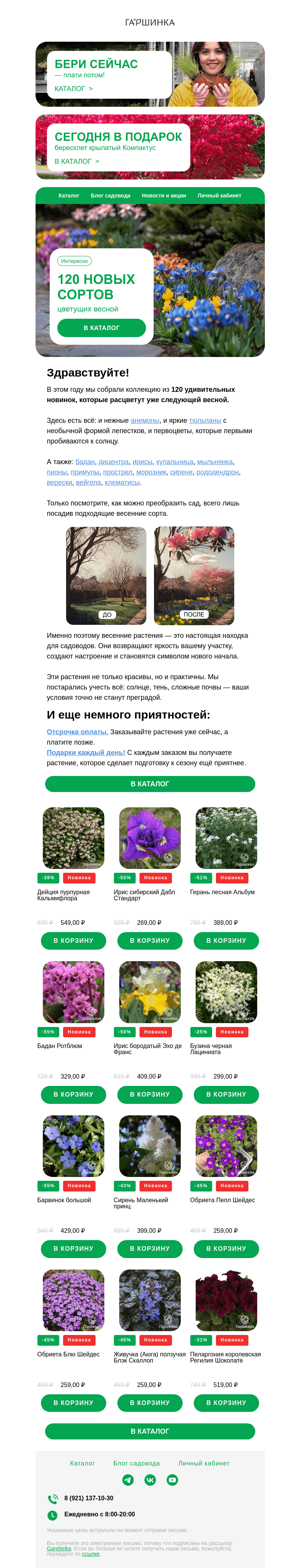 Письмо компании «Гаршинка.ру» на тему «🤩 Новинки: 120 растений, которые зацветают весной»