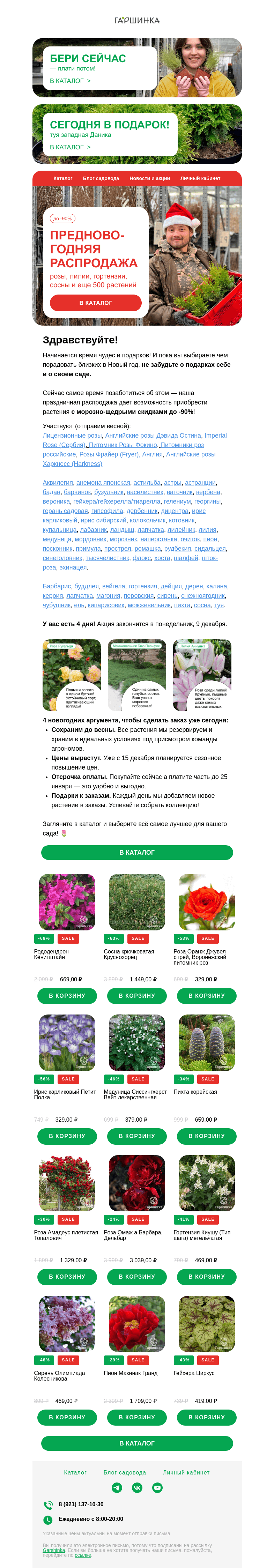 Письмо компании «Гаршинка.ру» на тему «🎄 Предновогодняя распродажа: до -90% на розы, пионы, сосны и еще более 500 растений!»