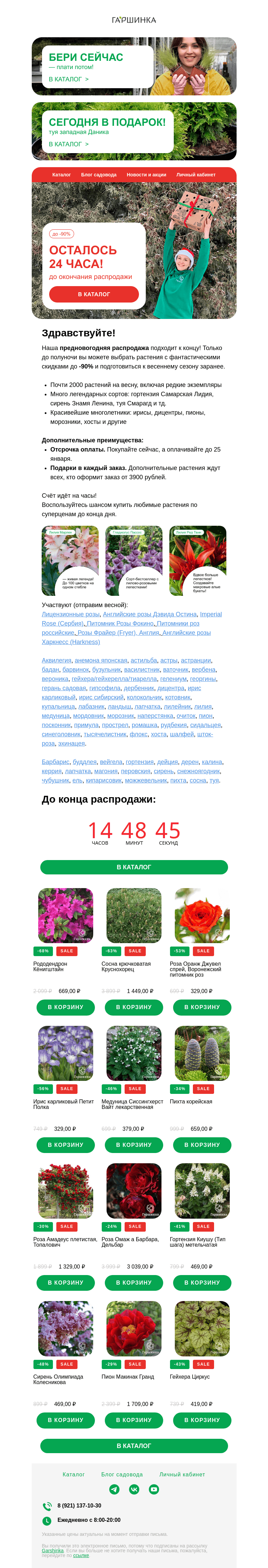 Письмо компании «Гаршинка.ру» на тему «🎁⏳ Осталось 24 часа! Успейте на предновогоднюю распродажу!»