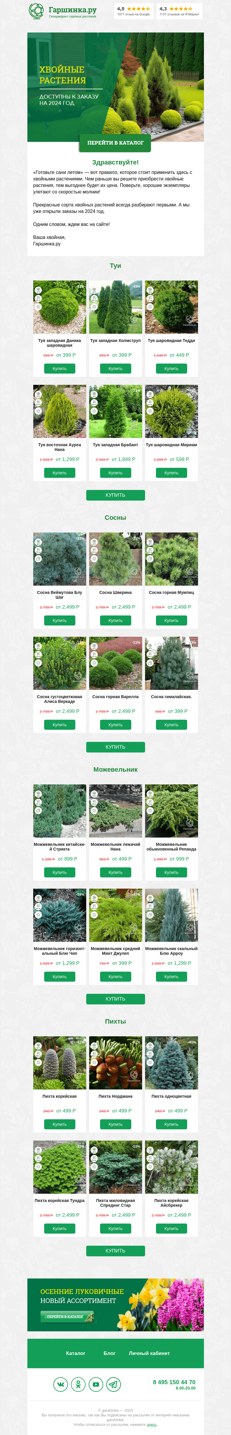 Письмо компании «Гаршинка.ру» на тему «🌲 Открыт прием заказов на Хвойные-2024!»