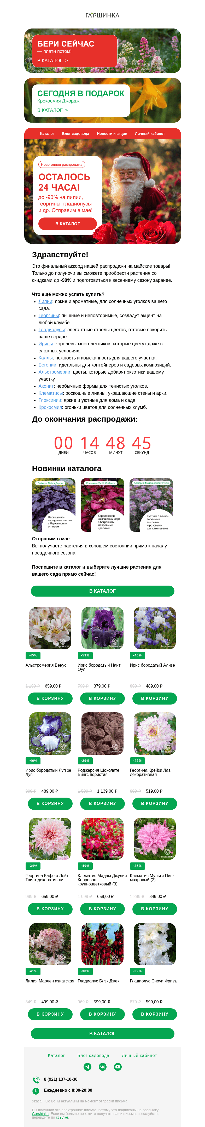 Письмо компании «Гаршинка.ру» на тему «🎄❄️ Финальный аккорд Предновогодней распродажи!»