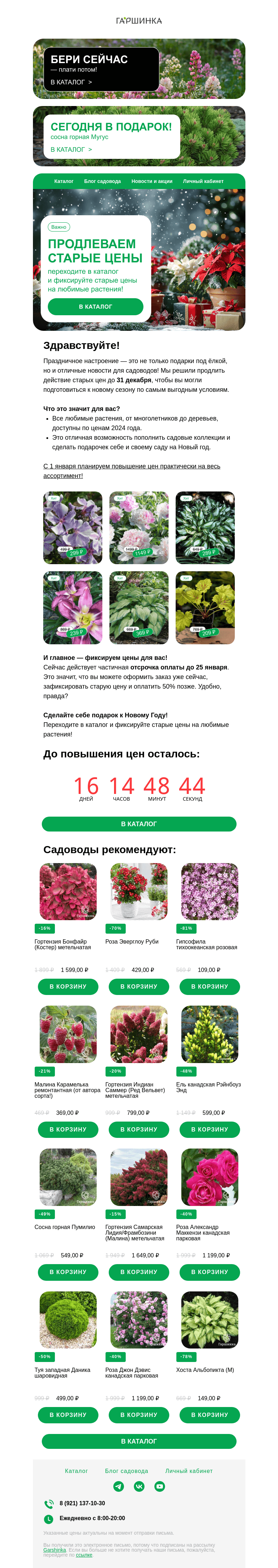 Письмо компании «Гаршинка.ру» на тему «🎁 Продлеваем старые цены до конца декабря!»