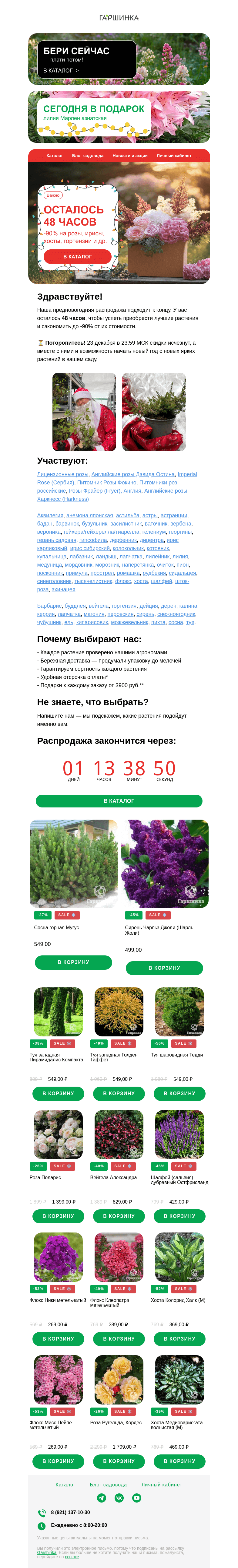Письмо компании «Гаршинка.ру» на тему «🎄 48 часов до конца Новогодней распродажи!»