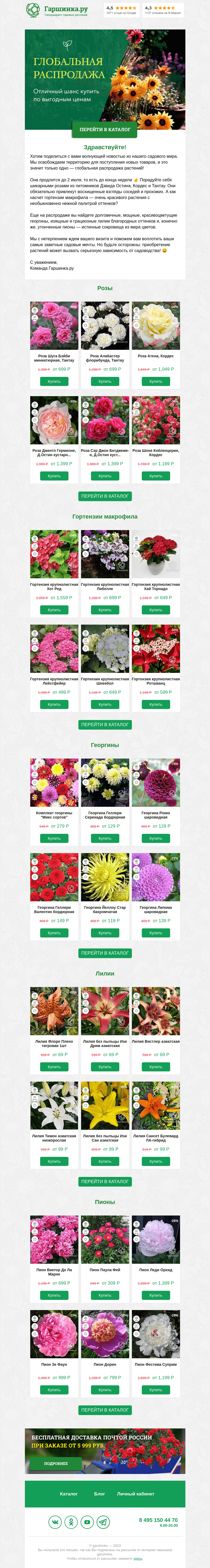 Письмо компании «Гаршинка.ру» на тему «Срочное сообщение от растений! 🌱📣 Глобальная распродажа — наш шанс завладеть вашими сердцами!»