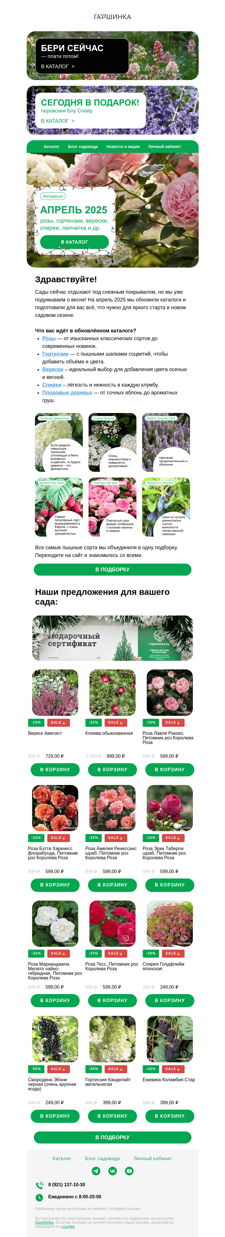 Письмо компании «Гаршинка.ру» на тему «🌿🎉 Апрель 2025: розы, гортензии, верески, плодовые»