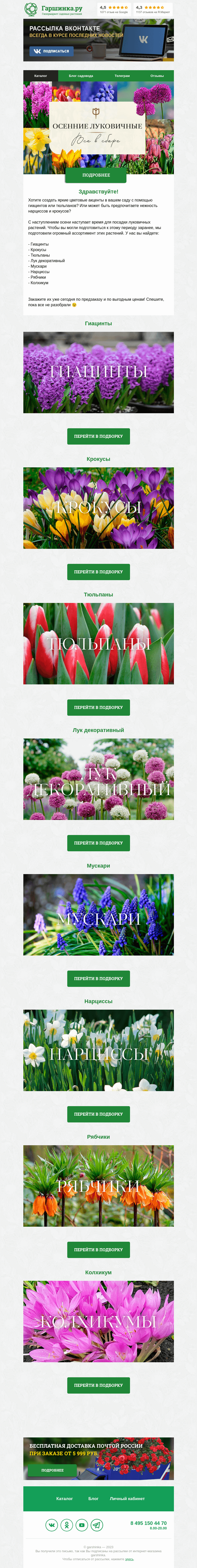 Письмо компании «Гаршинка.ру» на тему «👉 Огромное пополнение в осенних луковичных рядах»