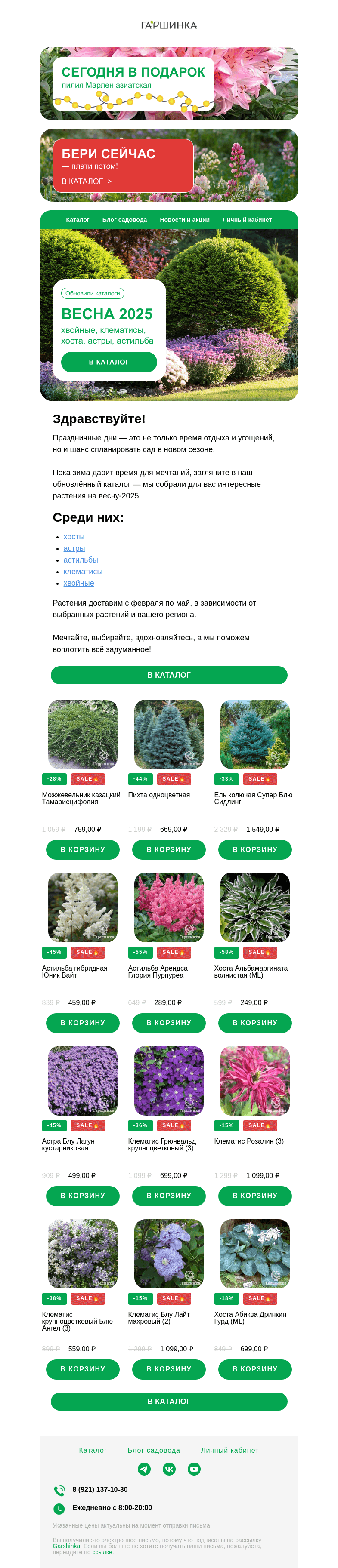 Письмо компании «Гаршинка.ру» на тему «Весна 2025: хосты, астры, астильбы, клематисы и хвойные»