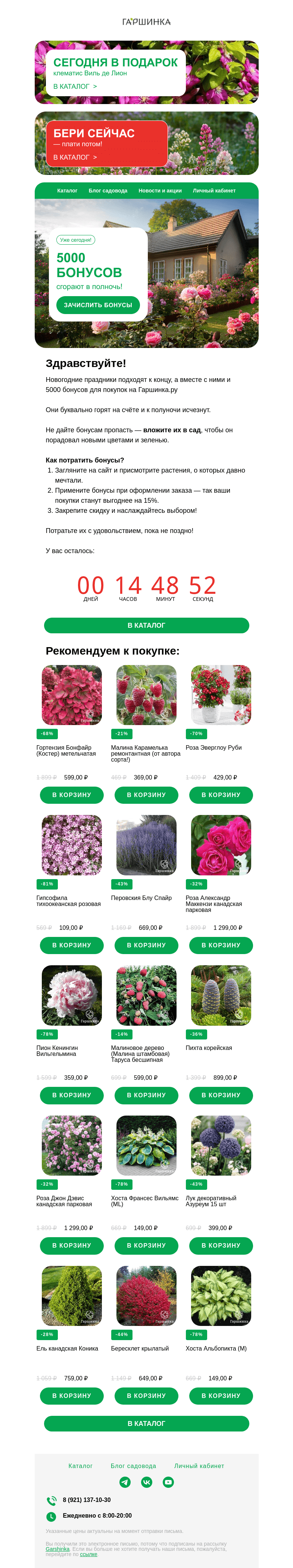 Письмо компании «Гаршинка.ру» на тему «🚨 SOS! Ваши 5000 бонусов сгорают сегодня!»