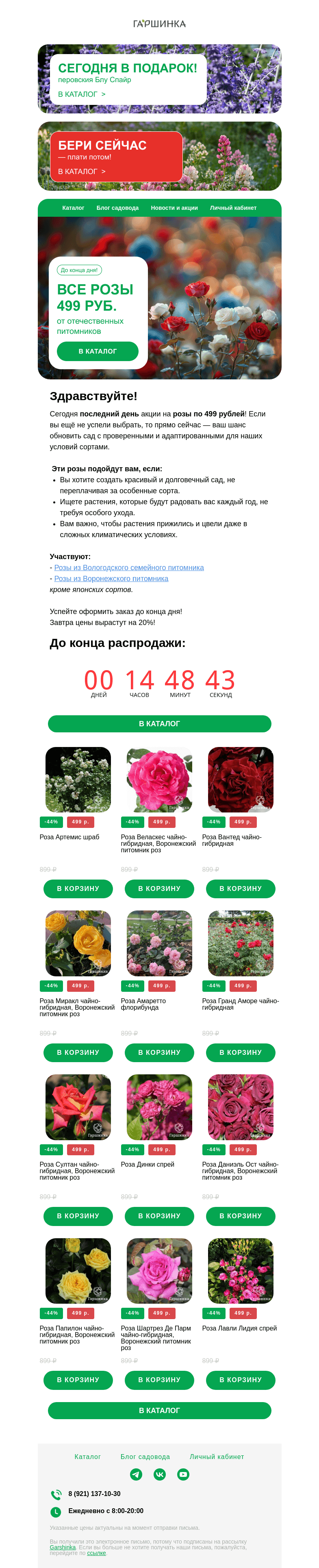 Письмо компании «Гаршинка.ру» на тему «🌹 Последний шанс! Розы 499 руб. только до конца дня!»