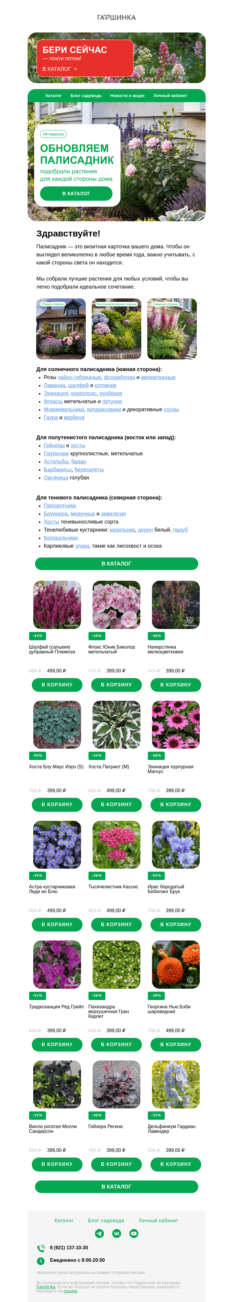Письмо компании «Гаршинка.ру» на тему «🏡 Время обновить палисадник: подберите растения для любой стороны дома!»