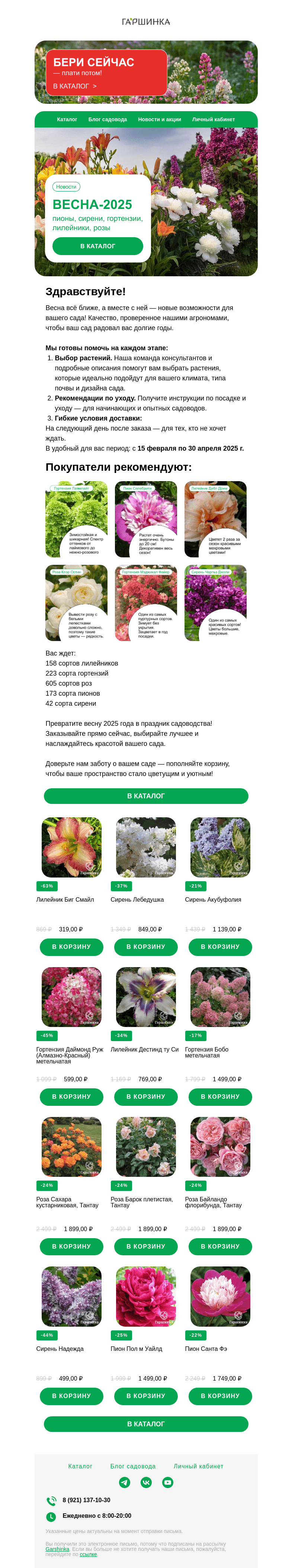 Письмо компании «Гаршинка.ру» на тему «🌸 Весна 2025: гортензии, сирени, лицензионные розы, пионы, лилейники»