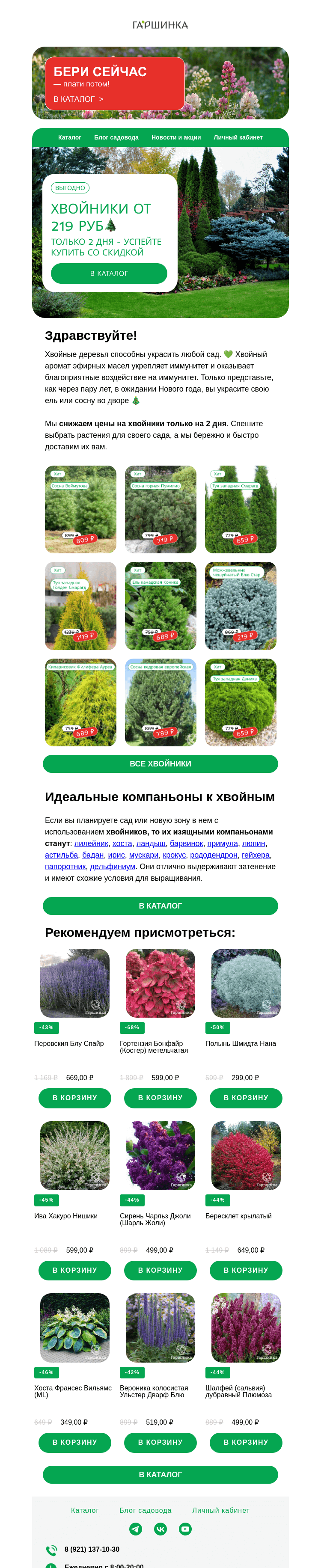 Письмо компании «Гаршинка.ру» на тему «⚡ Хвойники от 219 руб 🌲 Только 2 дня»