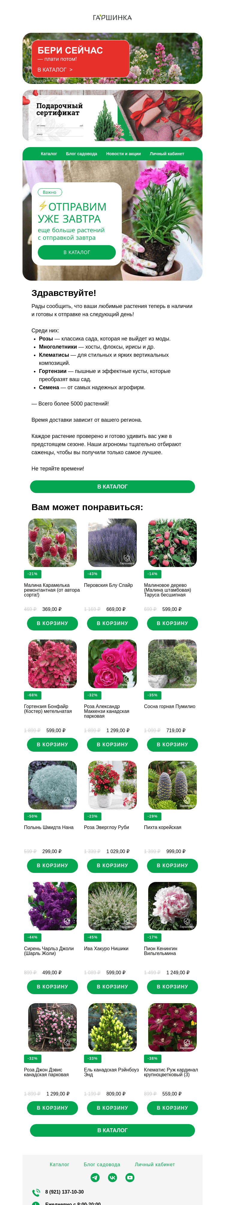 Письмо компании «Гаршинка.ру» на тему «Не нужно ждать! 👉 Отправим завтра 🌲☘️🌼»