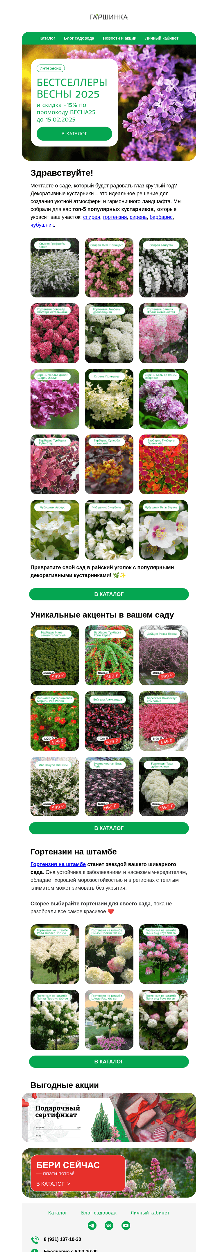 Письмо компании «Гаршинка.ру» на тему «💥 Бестселлеры весны 2025 🌿 цветущих кустарников 🌺»