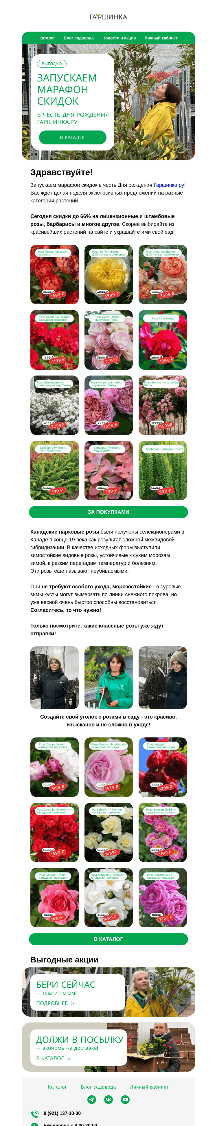 Письмо компании «Гаршинка.ру» на тему «🚩Марафон скидок начался ✨ До 66% на лицензионные и штамбовые розы, барбарисы и др🌹»